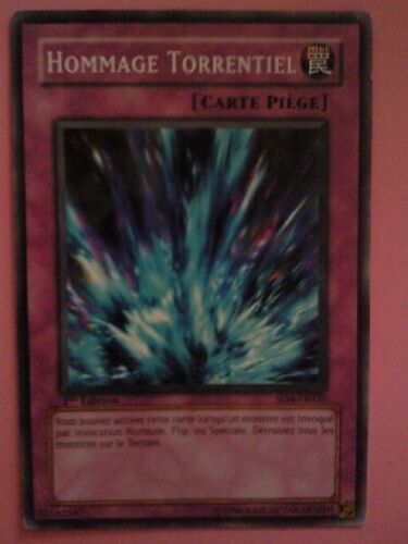 Sd4-Fr030 - Hommage Torrentiel - Yu Gi Oh! - Français - Commune - C