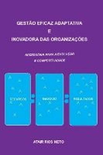 Gestão Eficaz Adaptativa E Inovadora Das Organizações