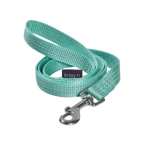 Laisse Chien Safe Lagon