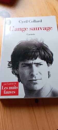 L'ange Sauvage De Cyril Collard