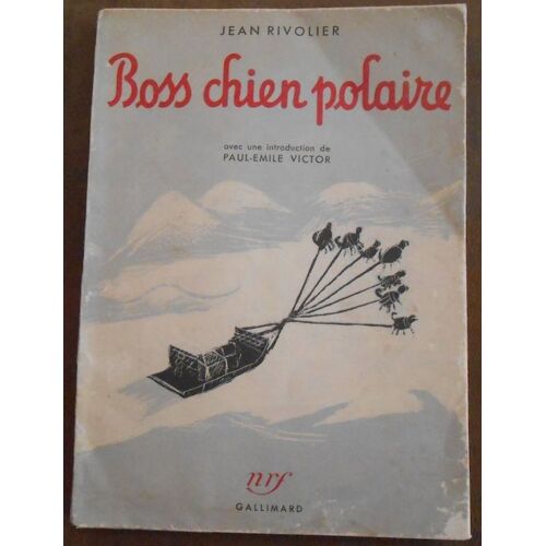 Boss Chien Polaire