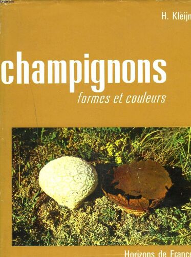 Champignons. Formes Et Couleurs.