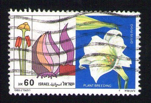 Israel Oblitéré Used Stamp Plant Breeding Sélection Végétal Plantes 1988