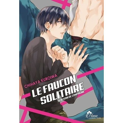 Faucon Solitaire A Besoin De Compagnie (Le)