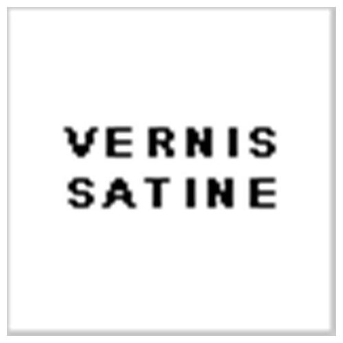 Vernis Satiné 193 / 522 Pot De Peinture Acrylique 17ml - Prince August