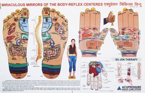 Affiche "Miraculous Mirrors Of The Body-Reflex Centeres"