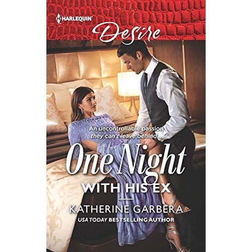 One Night With His Ex