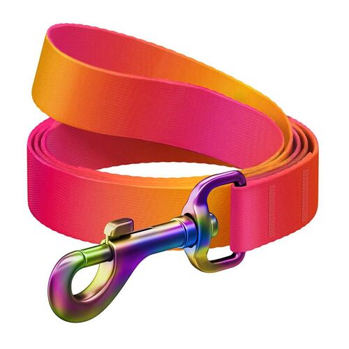 Waudog Gradient Nylon Dog Leash, 122 Cm Long, Orange