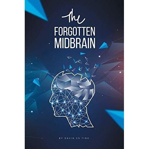 The Forgotten Midbrain