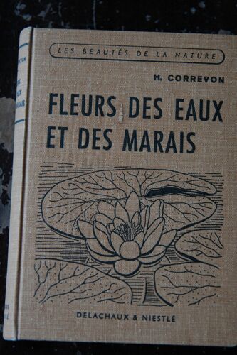Fleurs Des Eaux Et Des Marais