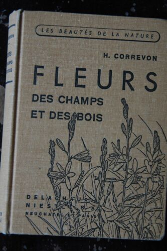 Fleurs Des Champs Et Des Bois