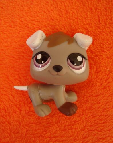 Petshop Chiot Lps 1877