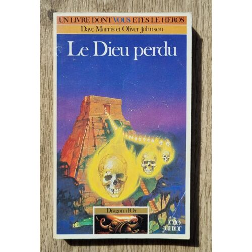 Livre Dont Vous Êtes Le Héros - Le Dieu Perdu (Pub Piranha Incluse)- Dragon D'or 2