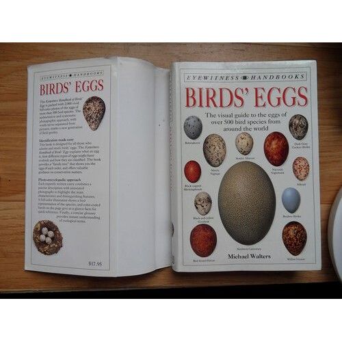 Bird's Eggs