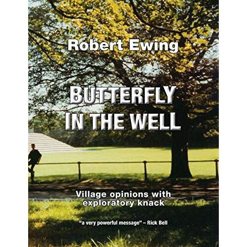 Butterfly In The Well