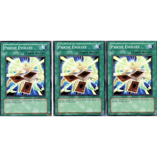 Pioche Evoluee  X3 -  Anpr-Fr047