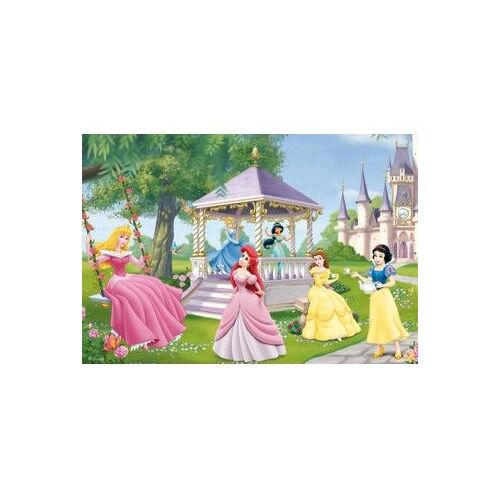 2 Puzzles 24 pièces : Disney Princess Princesses magiques