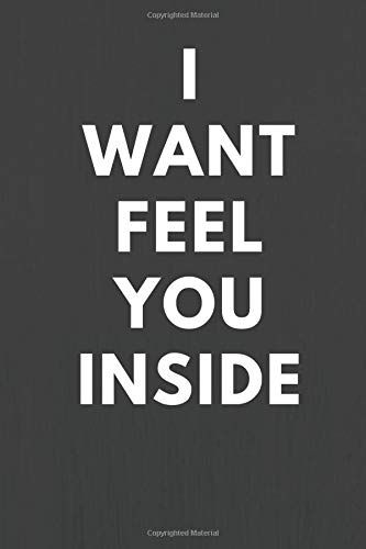 I Want Feel You Inside: Sexual Notebook, Sex, Gift For Men, Gift For Women (110 Pages, Blank, 6 X 9)(Sexual Gifts)