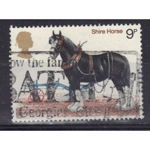 Grande-Bretagne 1978 : Cheval De Race : Cheval De Gros Trait, Race Shire - Timbre Oblitéré