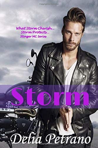 Storm (The Stinger Mc Series)