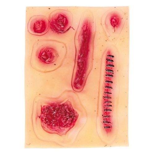 Assortiment De Cicatrices En Latex