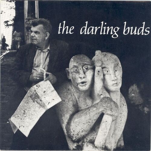 The Darling Buds "Just To Be Seen" (45t)