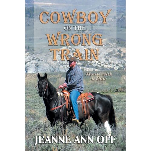 Cowboy On The Wrong Train