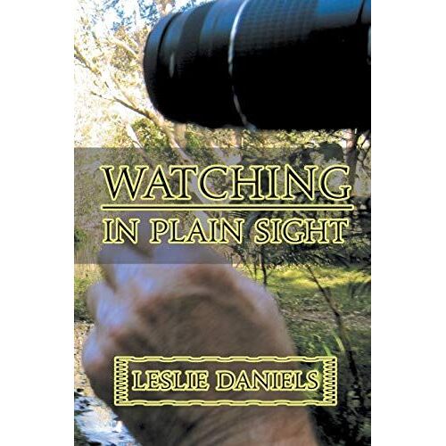 Watching In Plain Sight