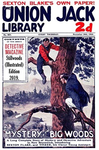A Mystery In The Big Woods (Illustrated)