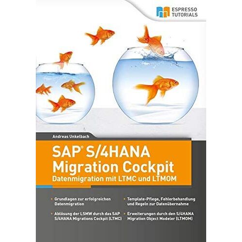 Sap S/4hana Migration Cockpit - Datenmigration Mit Ltmc Und Ltmom