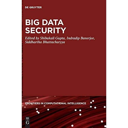 Big Data Security