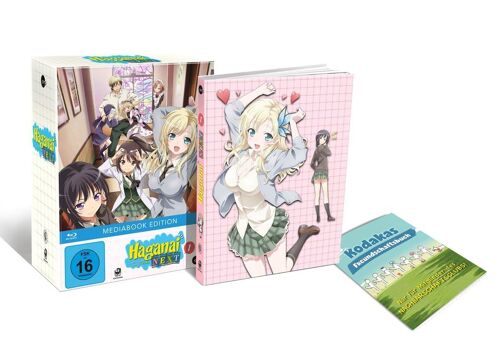 Haganai Next (Volume 1) (Blu-Ray)