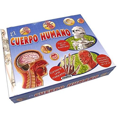 Maletines. El Cuerpo Humano