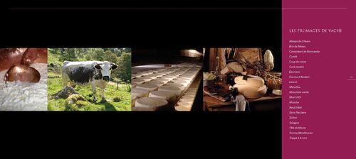 Harmonie Des Fromages Des Pains Et Des Vins