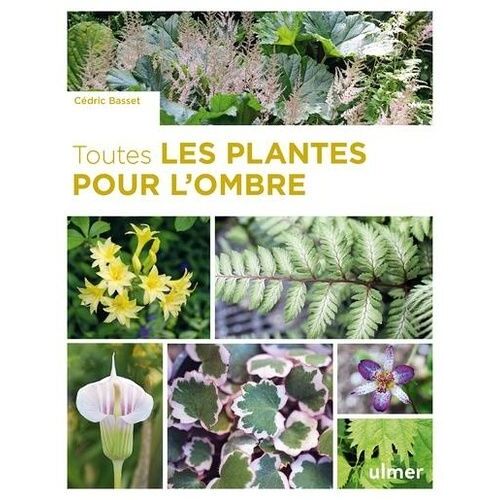 Toutes Les Plantes Pour L'ombre