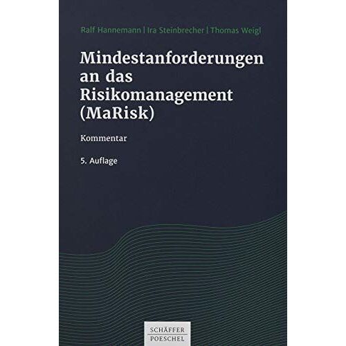 Mindestanforderungen An Das Risikomanagement (Marisk)