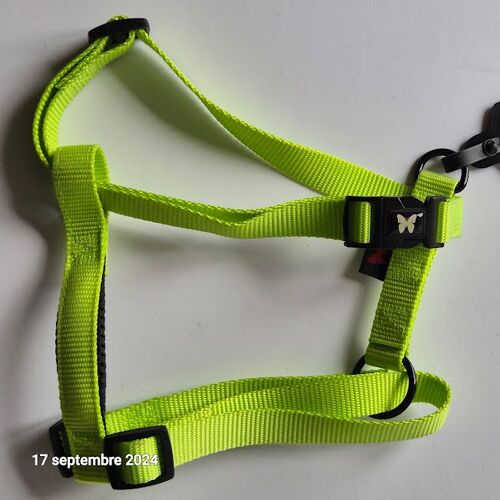 Harnais Chien Réglable, Taille Moyenne Vert Pomme Pour Chien, Solide