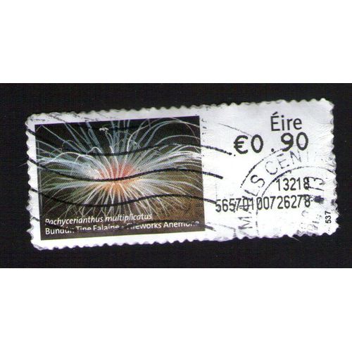 Irlande Vignette Pachycerianthus Multiplicatus Anémone Eire 0,90 Euro