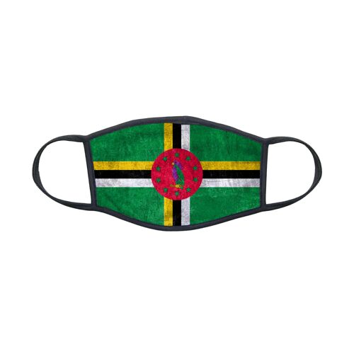 Masque En Tissu Lavable Pour Enfant 8-12 Ans Drapeau Dominique Ref 0064