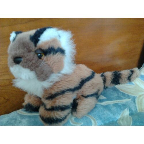 Tigre Assis