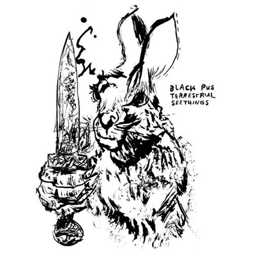 Terrestrial Seethings - Cd Album