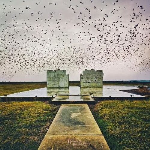 Holus Bolus - Cd Album