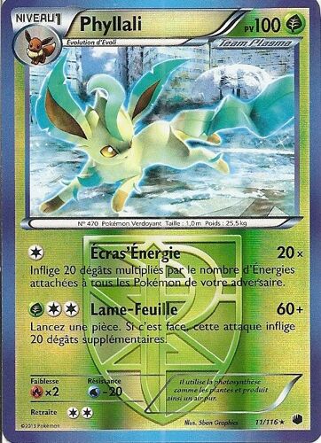 Phyllali 11/116 Réverse - Glaciation Plasma