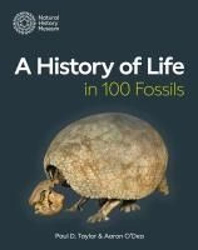 A History Of Life In 100 Fossils