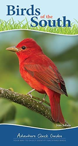 Birds Of The South