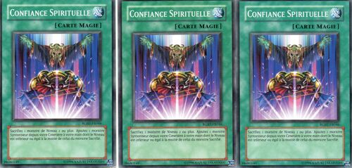 Confiance Spirituelle    X3 -   Rgbt-Fr046