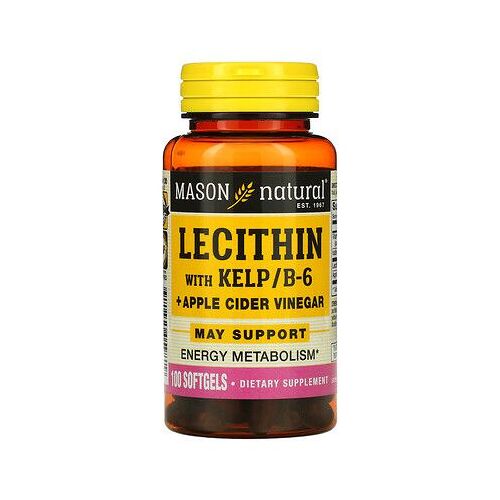 Mason Natural, Lécithine Au Vinaigre De Cidre De Varech/B6 Plus, 100 Capsules À Enveloppe Molle 