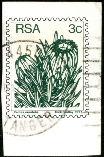 Timbre Imprimé Sur Carton Rsa, Protea Neriifolia, 1977, 3c