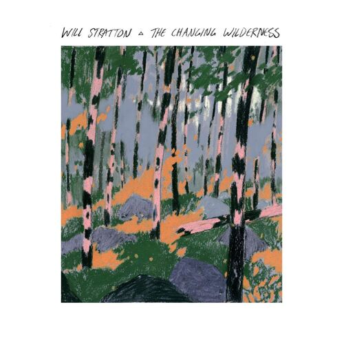 The Changing Wilderness - Cd Album