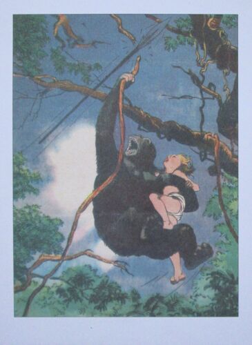 Ex Libris De Cuvelier / Corentin